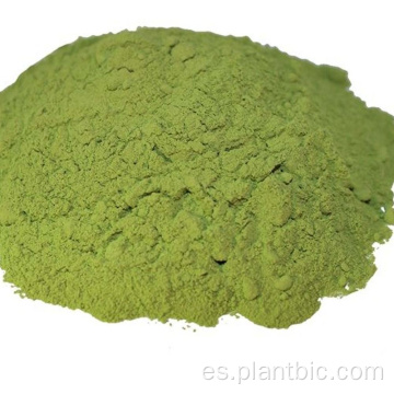 Polvo de extracto de hoja de stevia edulcorante natural de alta pureza